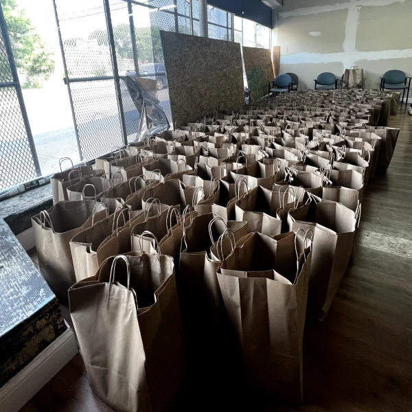 Basic-Needs-Bags-of-Food-Taskforce-Chicago-Program