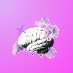 A stylized graphic illustration of a human brain surrounded by purple flowers on a pink background.
